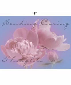 Mega Sympathy Cards Value Pack -Department Store 614076 size h