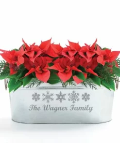 Snowflake Personalized Beverage Tub -Department Store 63839 06